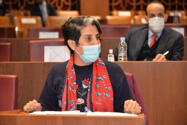 حنان رحاب تنتقد خرجة "مبعوث" الوزير بنموسى مع "سوينغا"